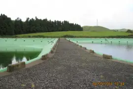 Sistema de Abastecimento de Água a Pecuária da Lagoa do Reservatório das Contendas - 5